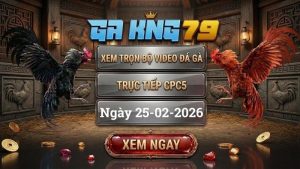 GAKING79 Xem Full Clip Da Ga Truc Tiep CPC5 Ngay 25022026 1