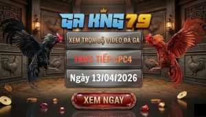 Video đá gà CPC4 ngày 13_04_2026