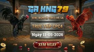 Xem Full Clip Đá Gà Bồ CPC4 Ngày 11/05/2026