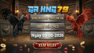 Xem Full Clip Đá Gà Trực Tiếp CPC3 Ngày 03/05/2026