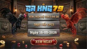 Xem Full Clip Đá Gà Bồ CPC5 Ngày 16/05/2026
