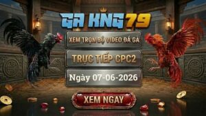 Xem Full Video Đá Gà CPC2 Ngày 07/06/2026