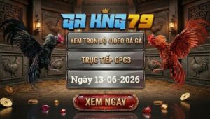 Xem Full Video Đá Gà CPC3 Ngày 13/06/2026 Tại GAKING79