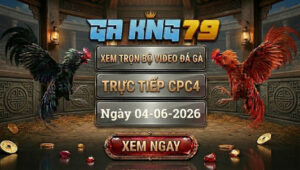 Xem Full Video Đá Gà CPC4 4/6/2026 Tại GAKING79