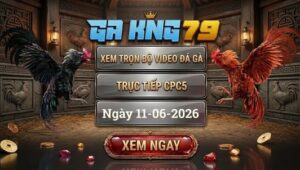Xem Full Video Đá Gà CPC5 Ngày 11/06/2026 Tại GAKING79